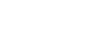 Palma Sola Botanical Park – Beauty