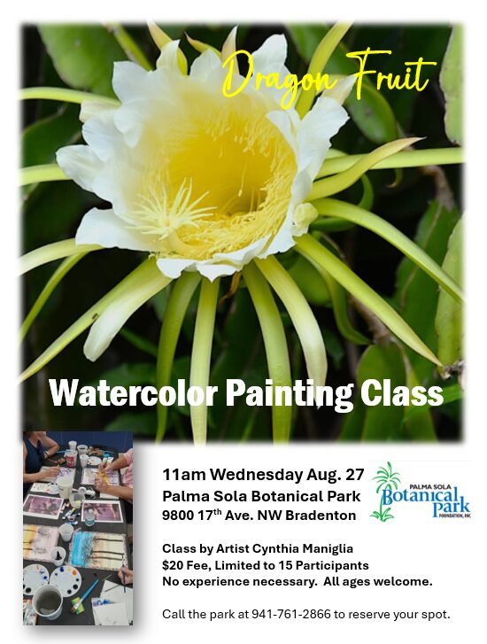 Dragon Fruit photo labeled water painting class.